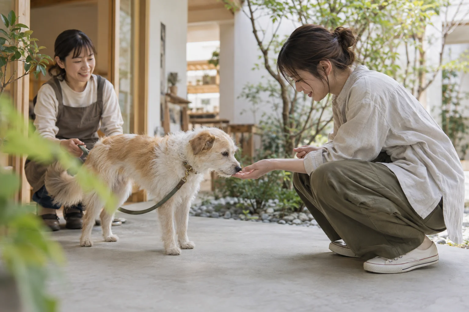 保護犬と里親希望者が出会う場面の生成イメージ
